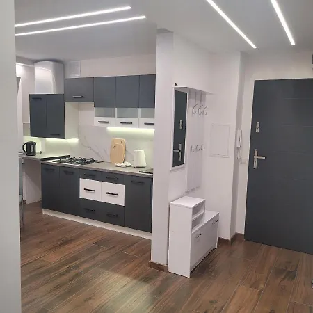 Mieszkanie Centrum Apartment *